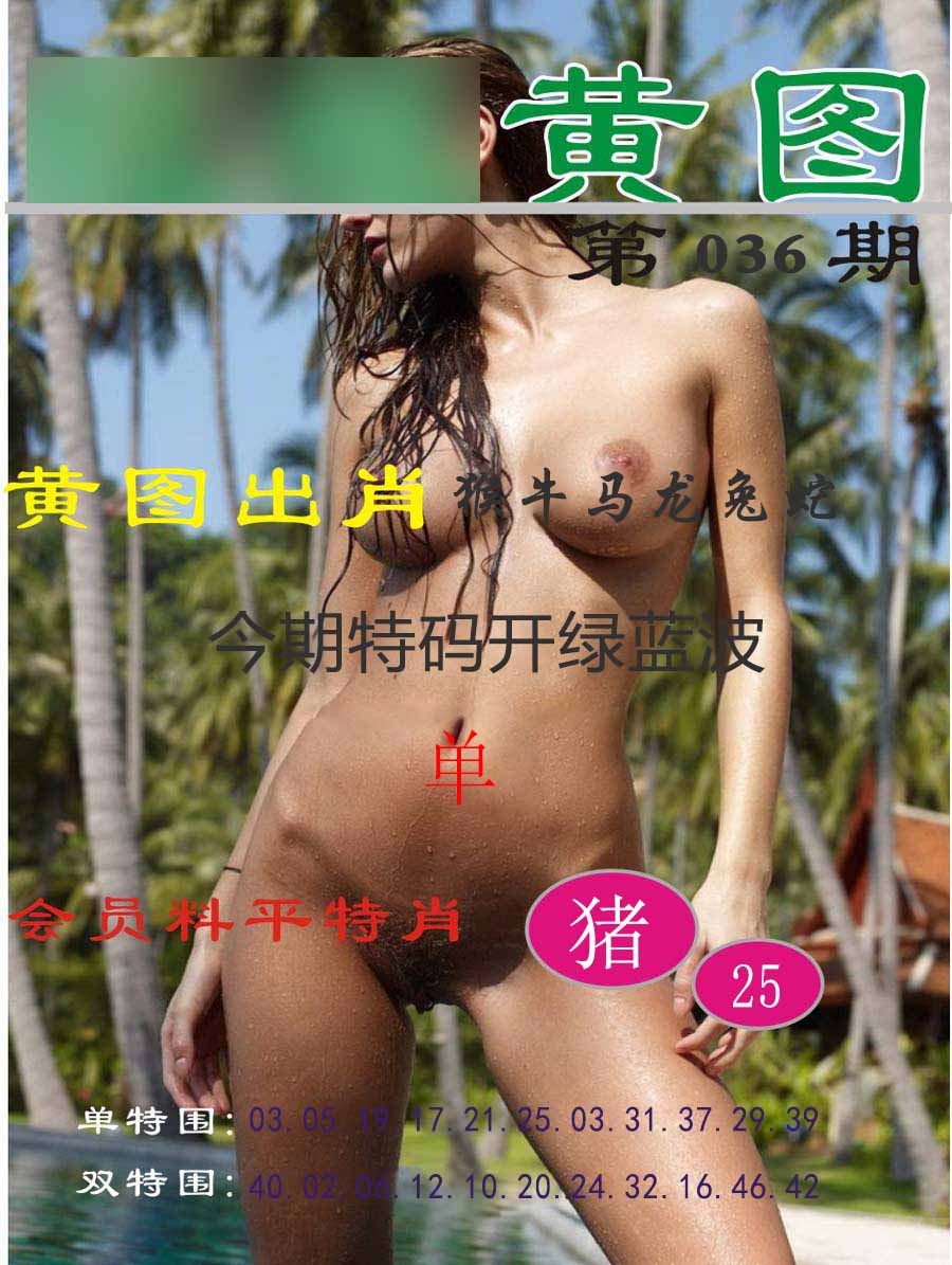 036期黄图[图]